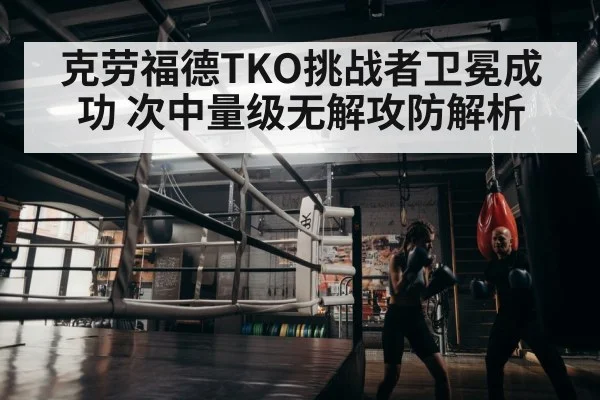 boxer training