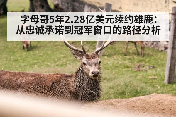 字母哥5年2.28亿美元续约雄鹿：从忠诚承诺到冠军窗口的路径分析